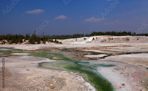 Norris Geyser Basin, Yellowstone NP 