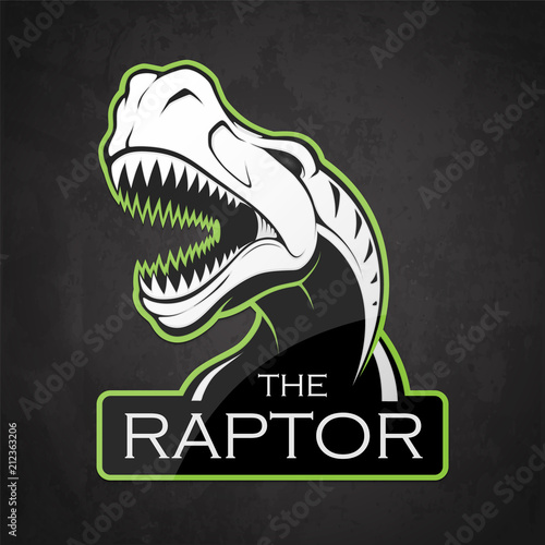 Head of raptor on a dark background