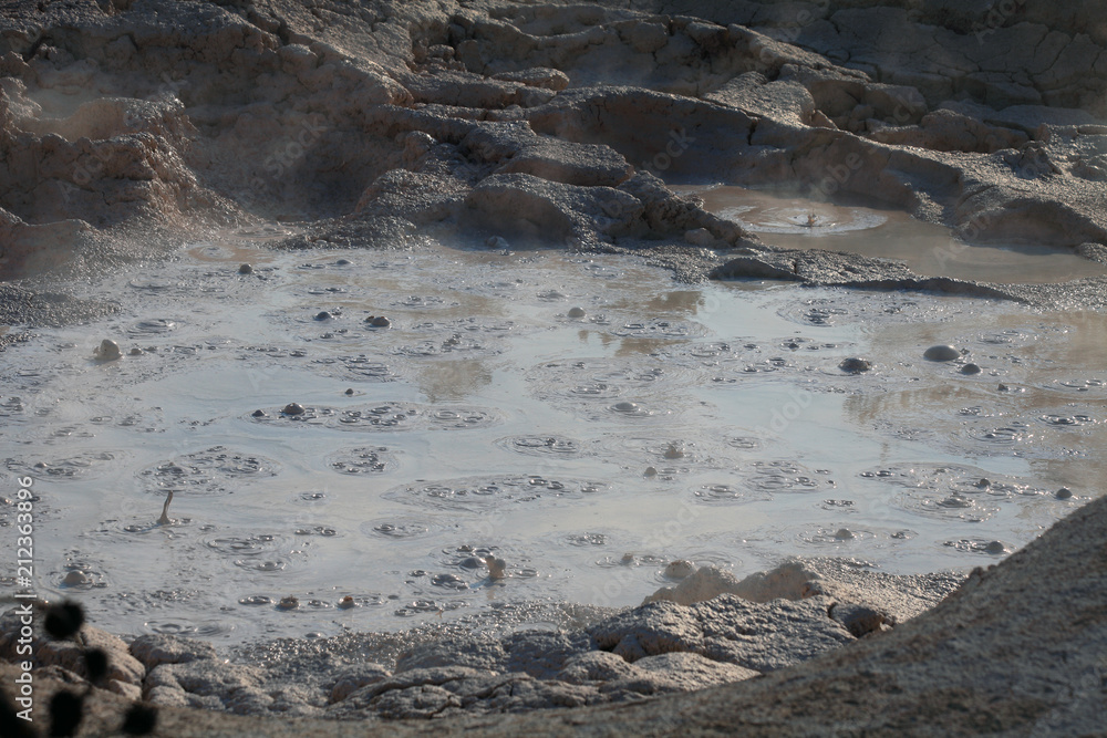 Norris Geyser Basin, Yellowstone NP Norris Geyser Basin, Yellowstone NP