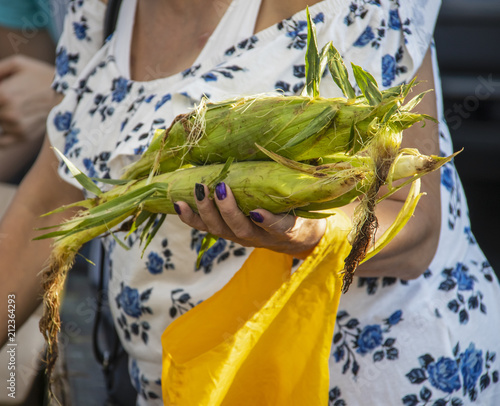 Woman holding unshucked corn on the cob at farmers Market photo