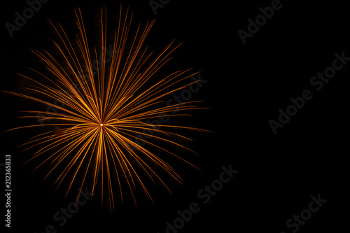 Bright Orange Chrysanthemum Firework