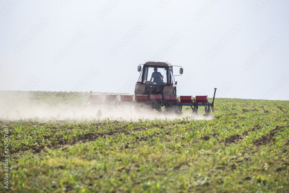 Fototapeta premium Tractor puts on a field of millet