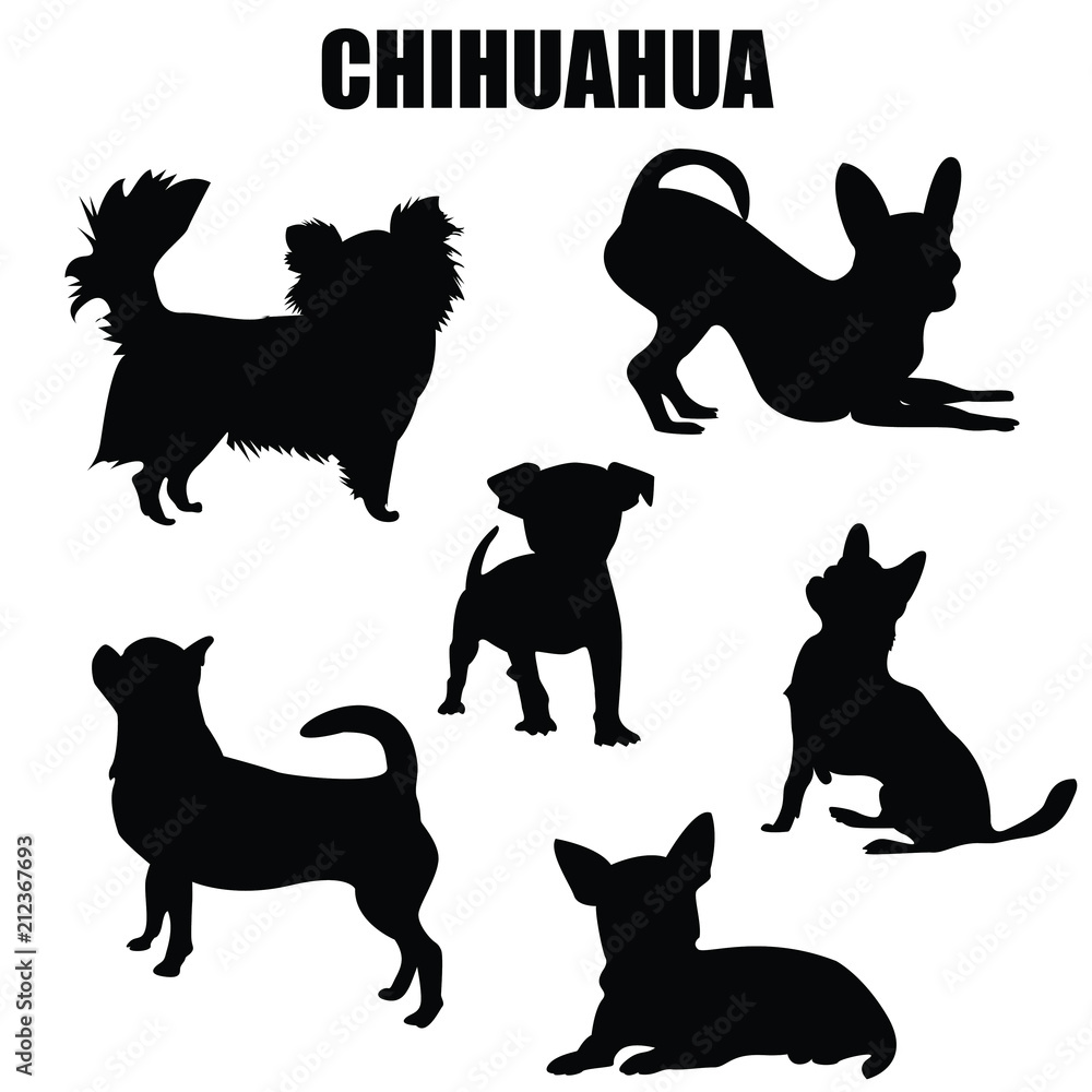 Chihuahua dog vector icons and silhouettes. Set of illustrations in different poses.