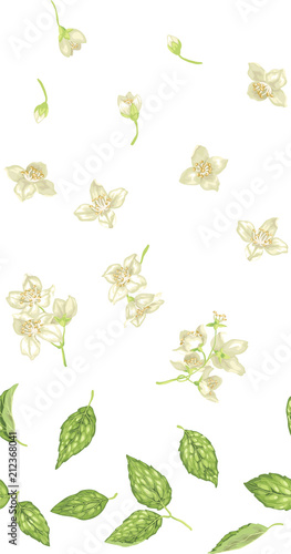 Seamless pattern with jasmine plant parts like buds, flowers and leaves
