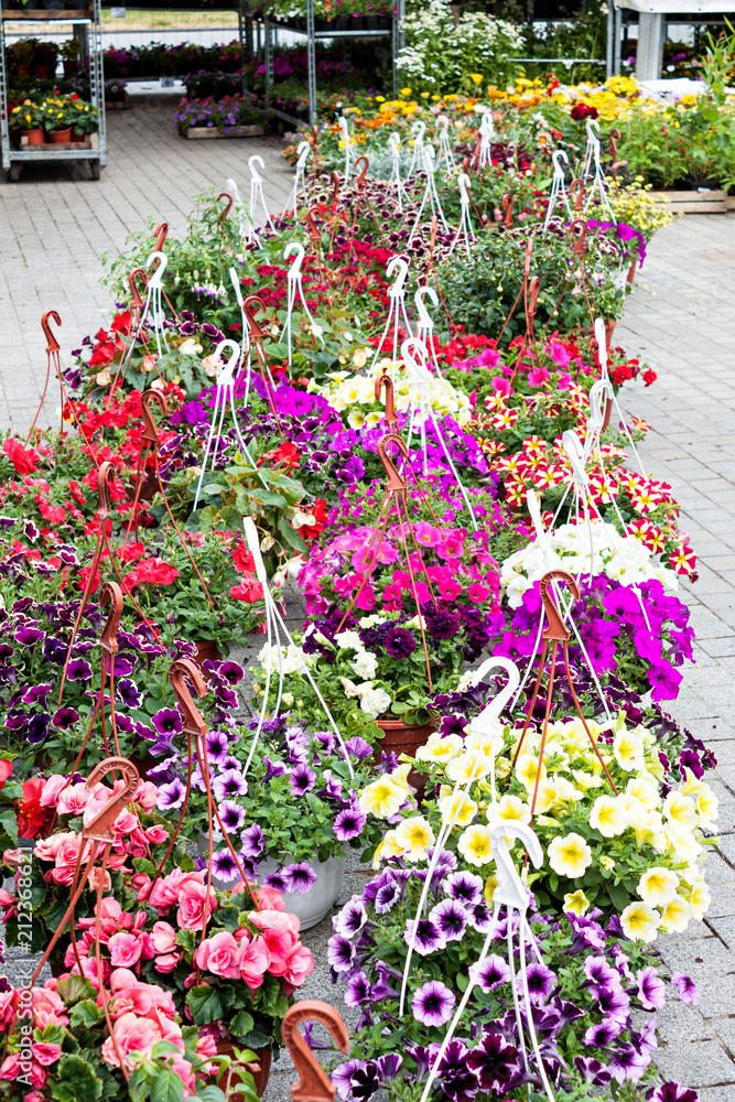 Different flowers in flowers market.