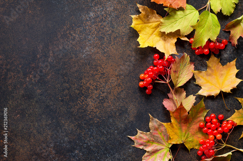 Autumn motive. Autumn background with autumn maple red and orange leaves and berries on slate background. Top view flat lay background with copy space. © elena_hramowa
