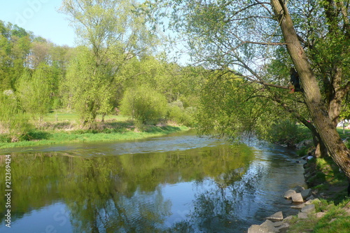 Spring by the river
