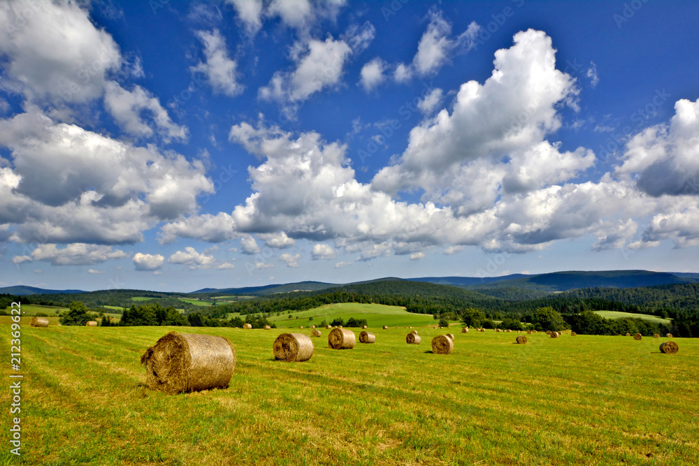 Summer in the country. Landscape with hay bales on the grass and blue sky with clouds. Summer in the country. Landscape with hay bales on the grass and blue sky with clouds.