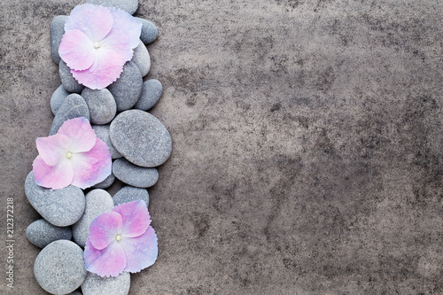 Fototapeta Naklejka Na Ścianę i Meble -  Spa flowers and massage stone, on grey background.