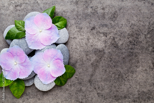 Fototapeta Naklejka Na Ścianę i Meble -  Spa flowers and massage stone, on grey background.