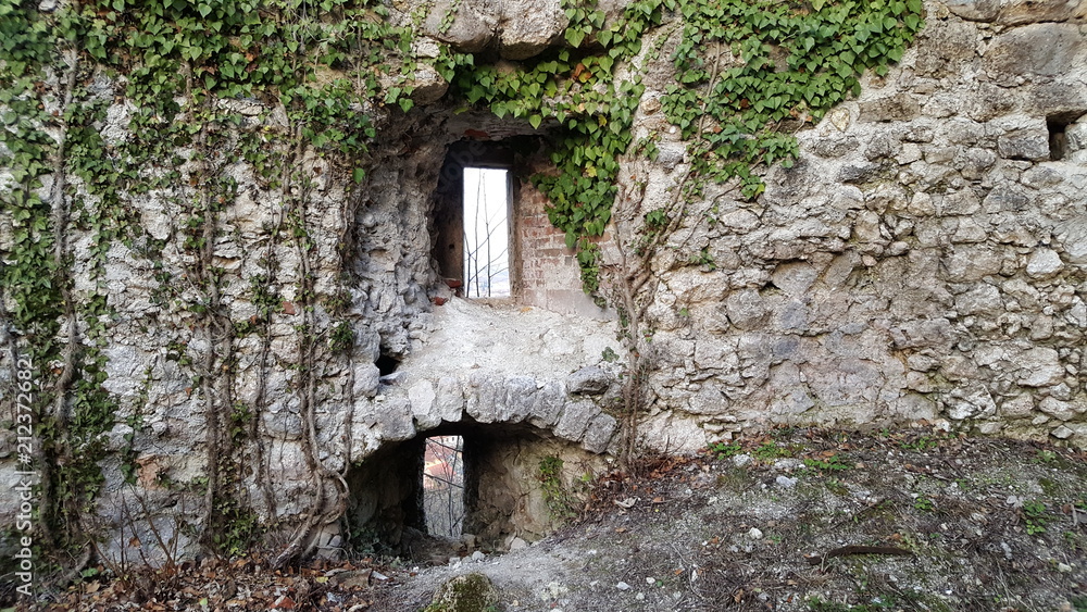 Massive stone castle wall openings for windows and lookout, partially overgrown with roots and leaves Massive stone castle wall openings for windows and lookout, partially overgrown with roots and leaves