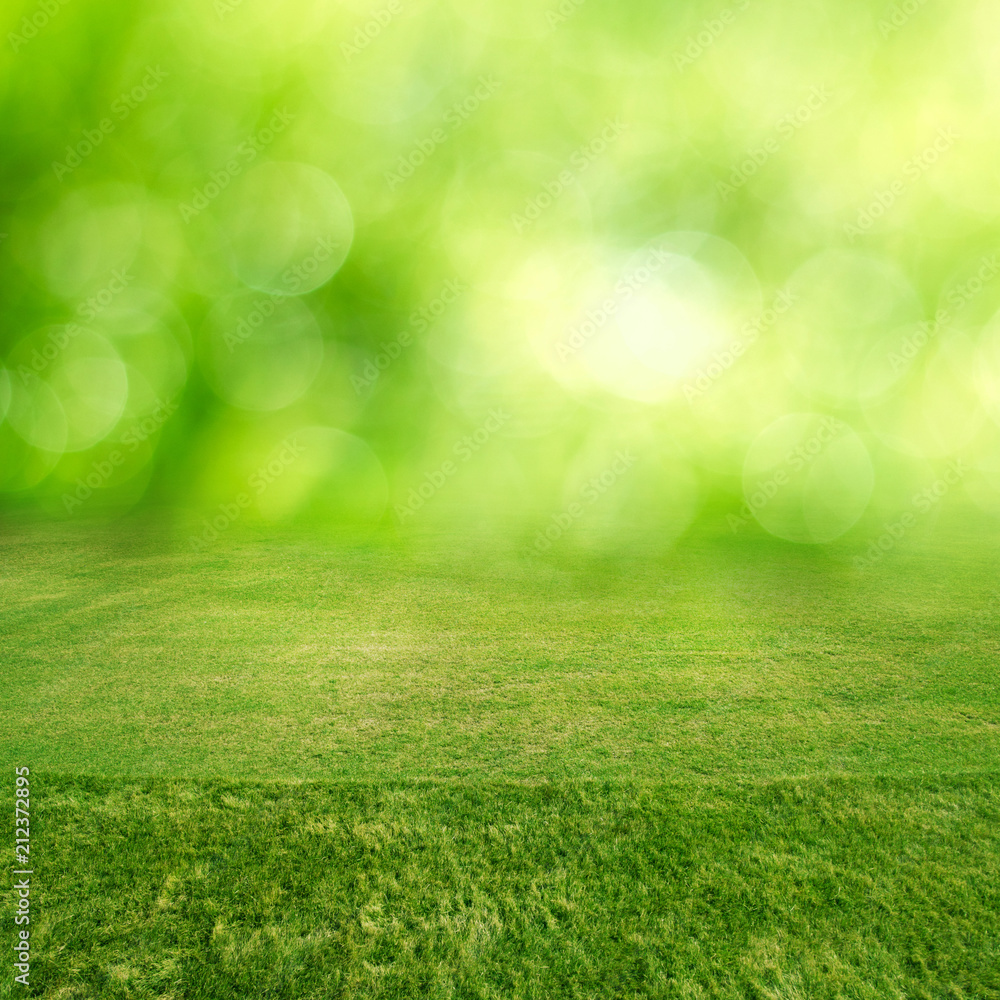 Fototapeta premium Green grass field bokeh
