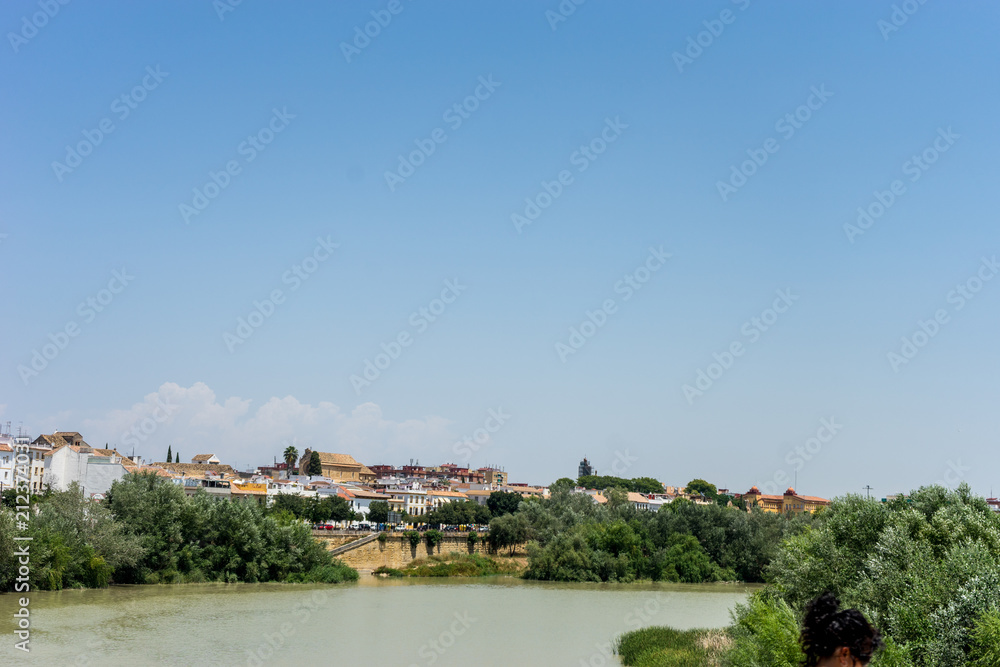 Spain, Cordoba, SCENIC VIEW OF BUILDINGS AGAINST CLEAR BLUE SKY with guadalquivir river in foreground