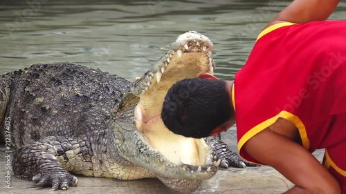 HD 1080 super slow Crocodile show