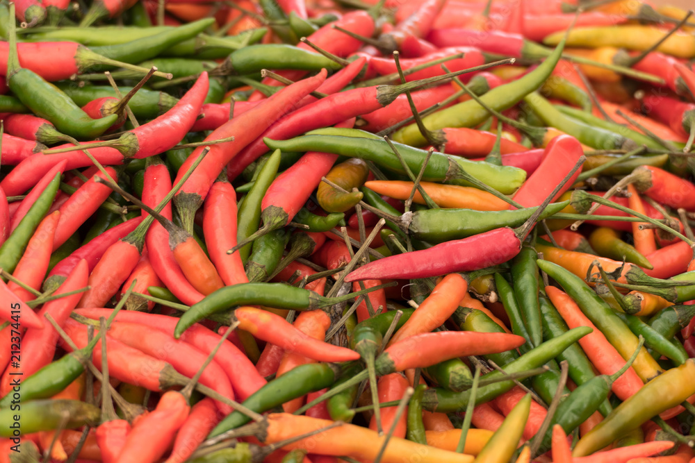 variety of fresh colorful chili peppers variety of fresh colorful chili peppers