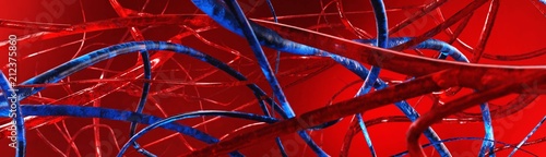 Blood vessels. Veins and arteries. Circulatory system.
3D rendering
