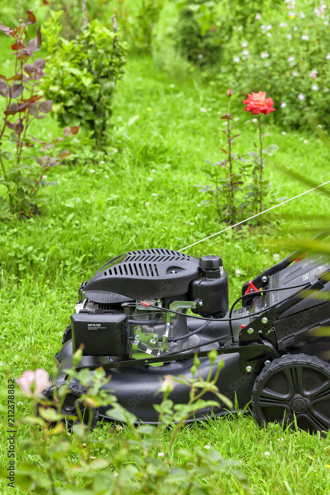Naklejka A four-stroke gasoline lawnmower on top of the grass in the garden