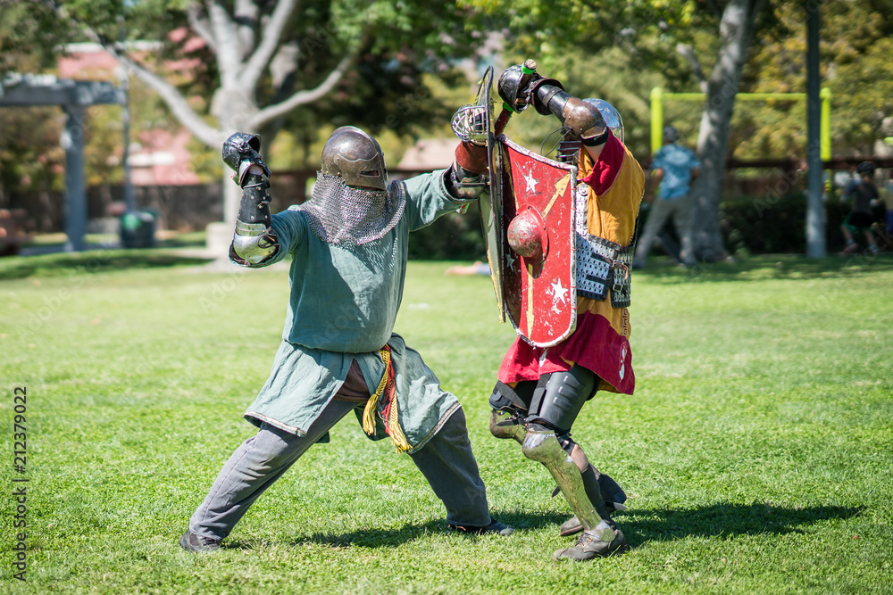Obraz premium Medieval Knights Fighting
