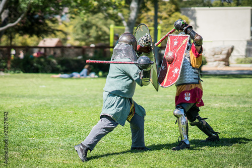 Knights Sword Fighting