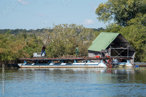 Two African men load a wood barge along the Zambezi river in Namibia   june 2018 editorial. 
