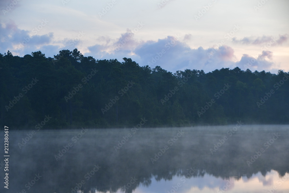 Fototapeta premium fog