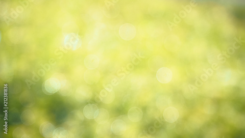 Blurred abstract green background with highlights. 