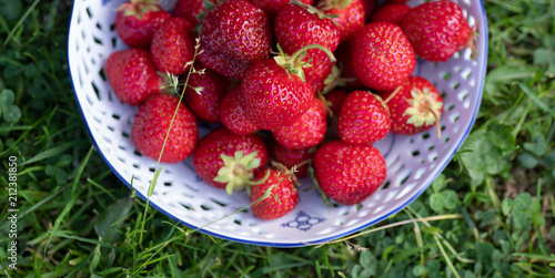 Strawberries in white bowl on green grass