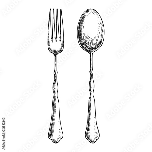 cutlery hand drawing vector. Vintage isolated spoon and fork