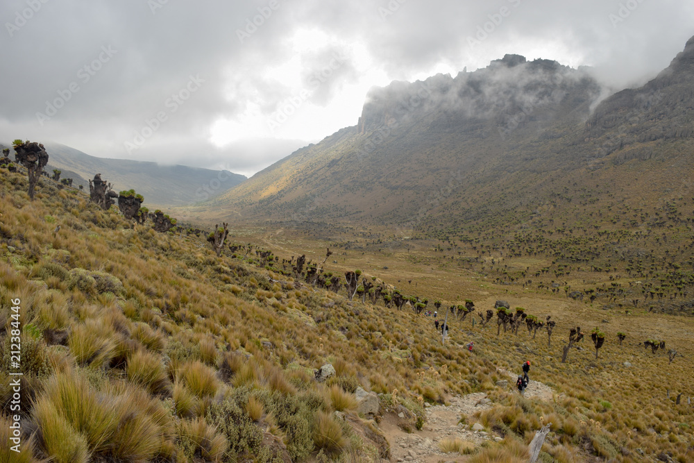 A group of hikers in the Mackinder's Valley, Mount Kenya National Park, Kenya
