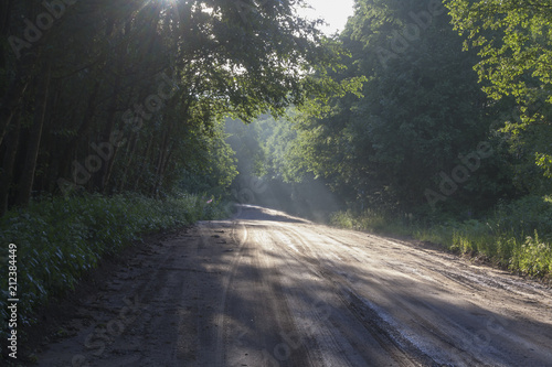 Obraz na płótnie sun rays on forest road w salonie