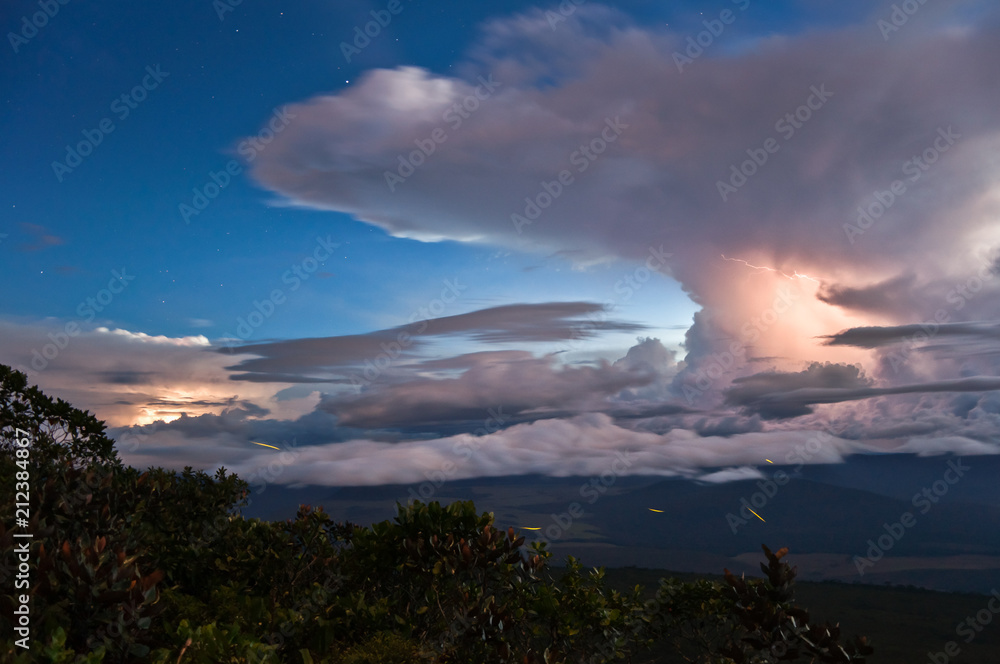 Panoramic View from the Auyantepui, Venezuela
