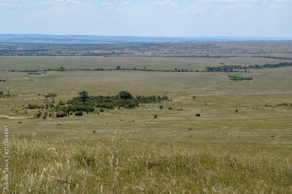 The Savannah landscapes of Masai Mara National Reserve, Kenya 