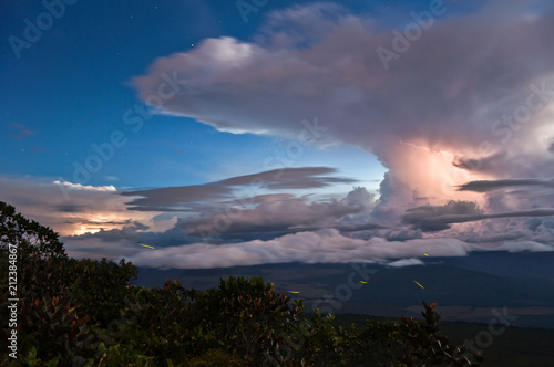 Panoramic View from the Auyantepui  Venezuela