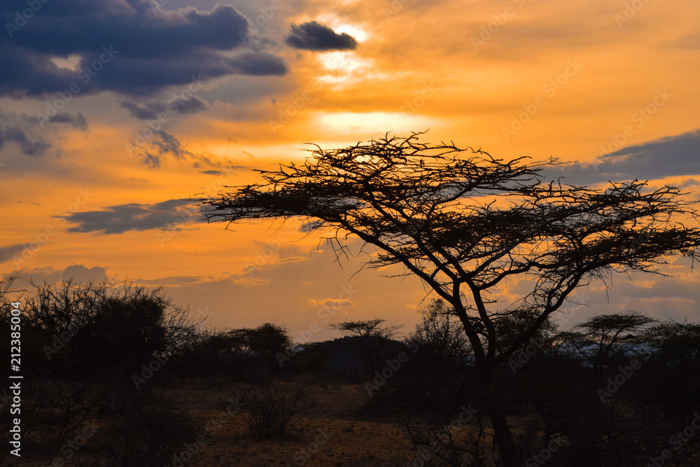 A golden sunset at Shaba Game Reserve, Kenya