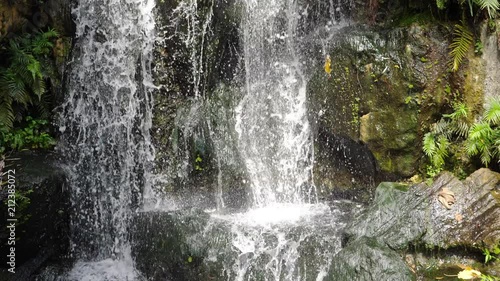 Wallpaper Mural Scenic nature of beautiful waterfall green plant leaf and fresh water pond Torontodigital.ca
