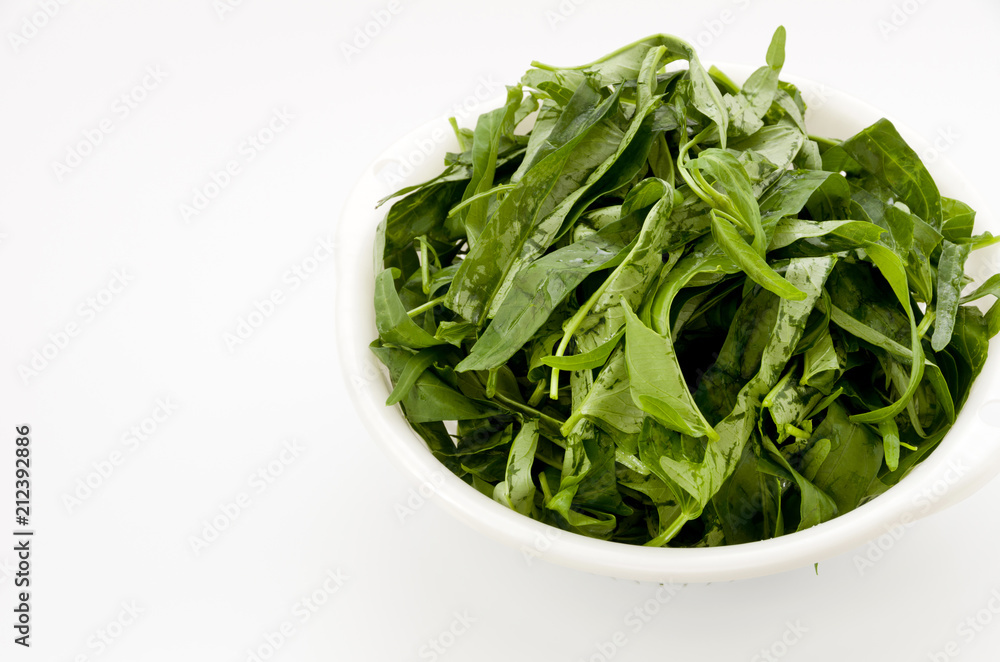 空心菜(クウシンサイ)の葉 空心菜(クウシンサイ)の葉