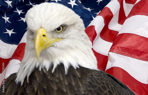Bald eagle,Statue of liberty with american flag out of focus