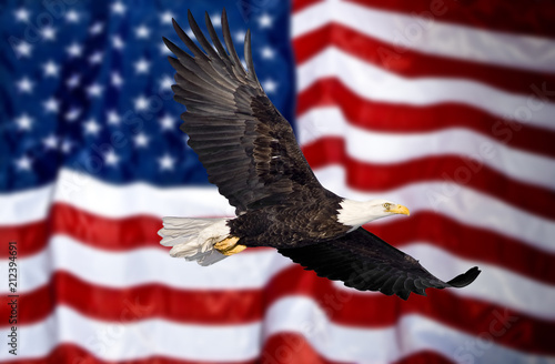 Bald eagle and Statue of liberty with american flag out of focus