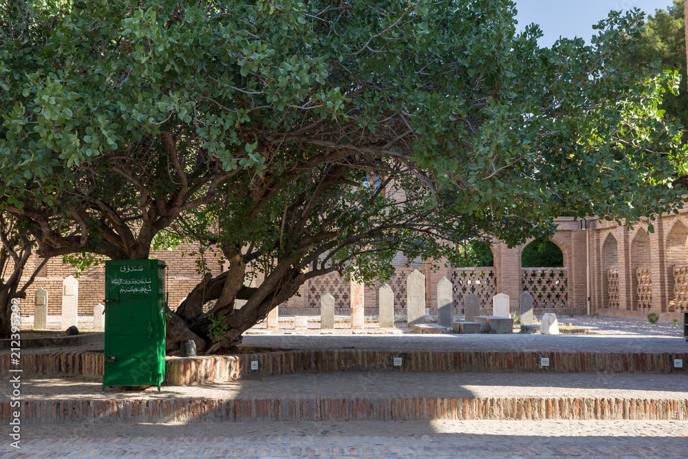 Obraz premium Pistachio Tree in the Shrine, Torbat Jam, Khorasan, Iran