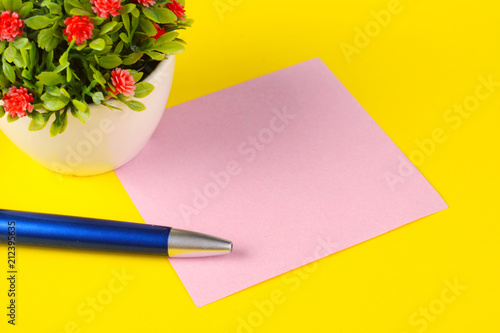 Woman hands holding empty note paper