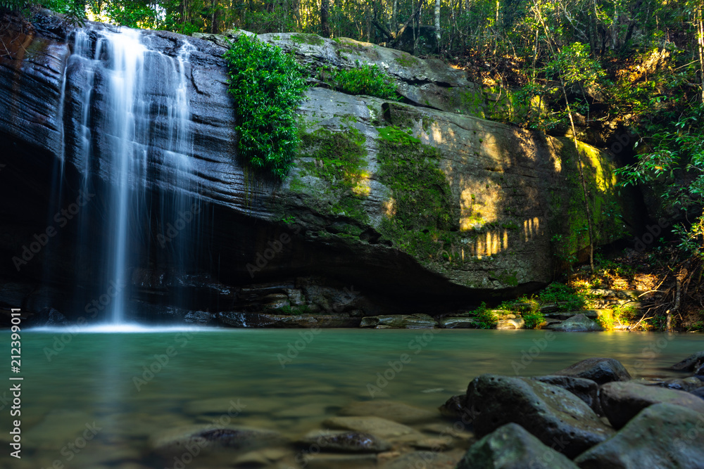 Still Pond with Water Fall