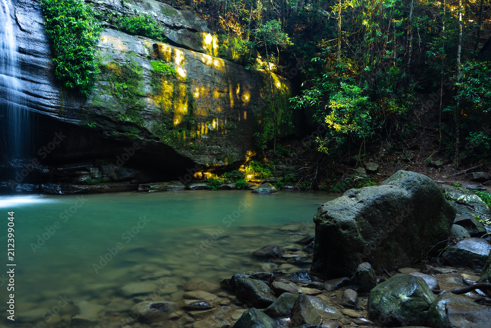 Natural Pond