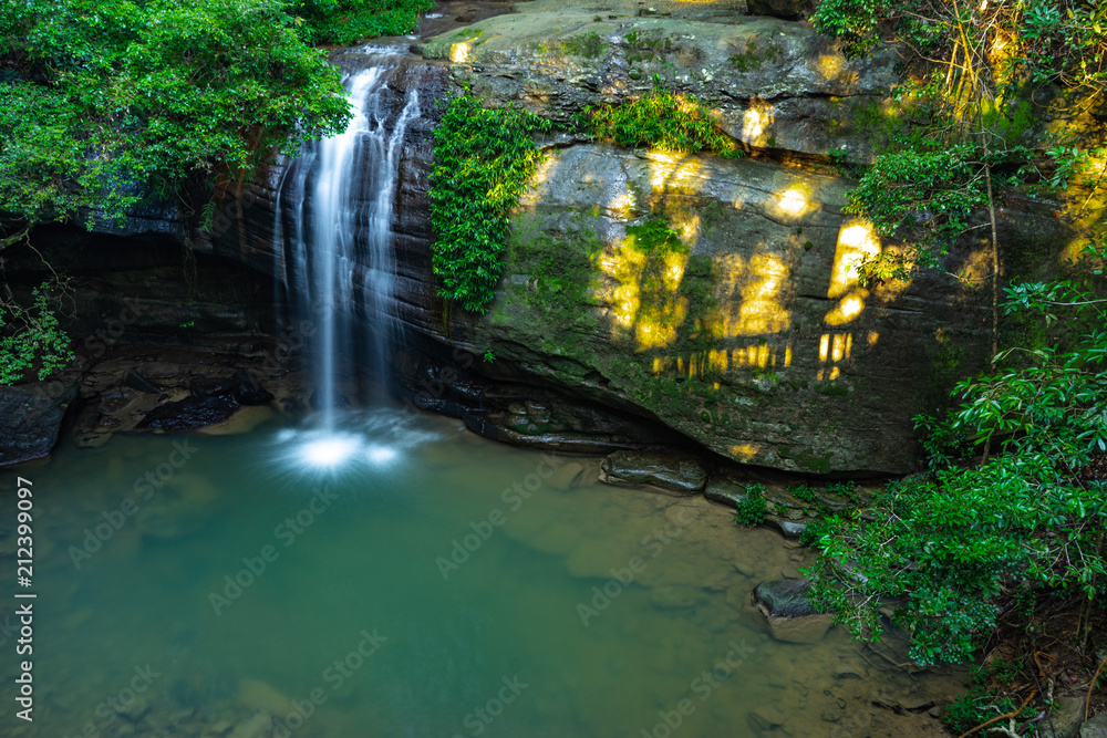 Natural Pond