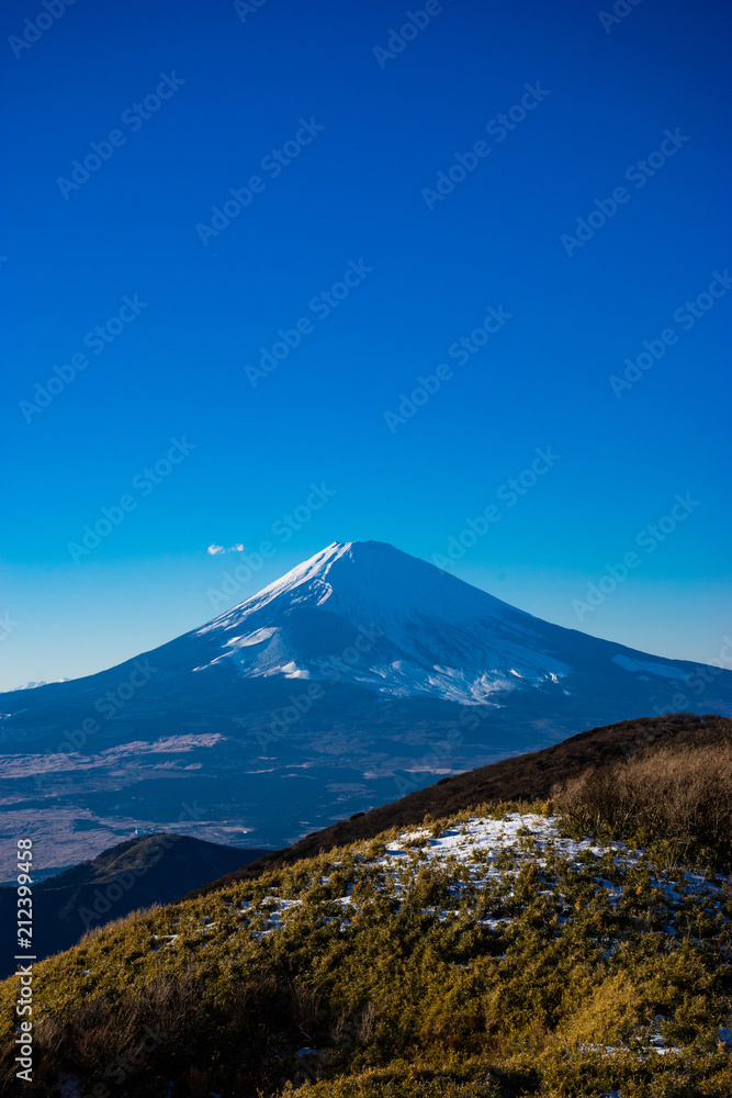 Mount Fuji