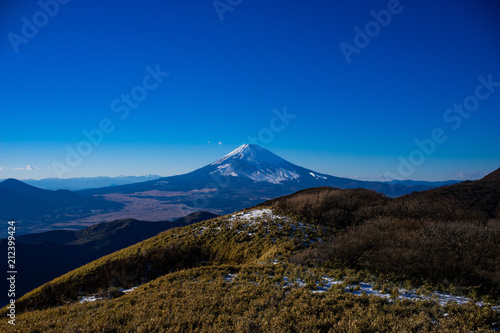 Obraz na płótnie Mt Fuji w salonie