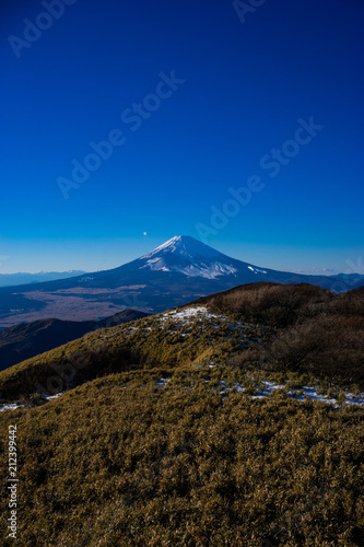 Obraz na płótnie Mount Fuji w salonie