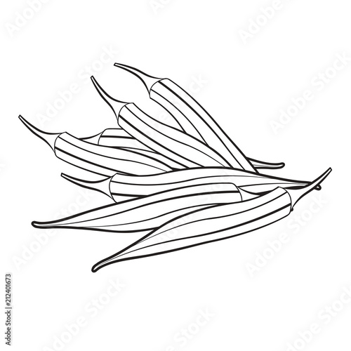black outline ladies fingers isolated on white back ground