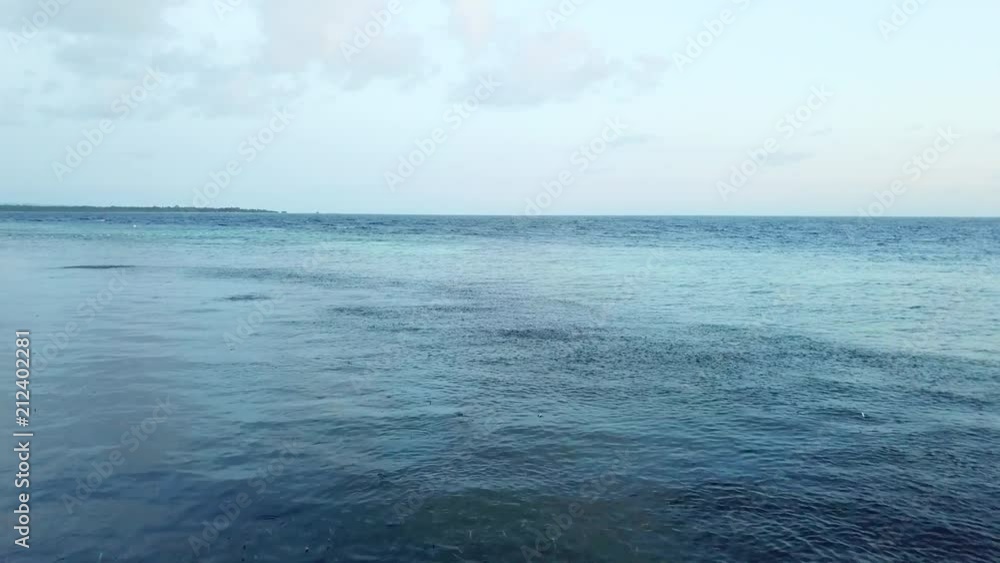 Predatory fish chase a school of silversides in Pacific Ocean Predatory fish chase a school of silversides in Pacific Ocean