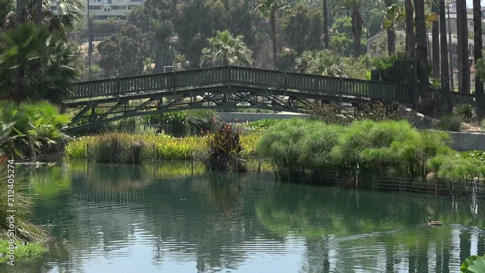 Bridge over a pond at an urban park Bridge over a pond at an urban park