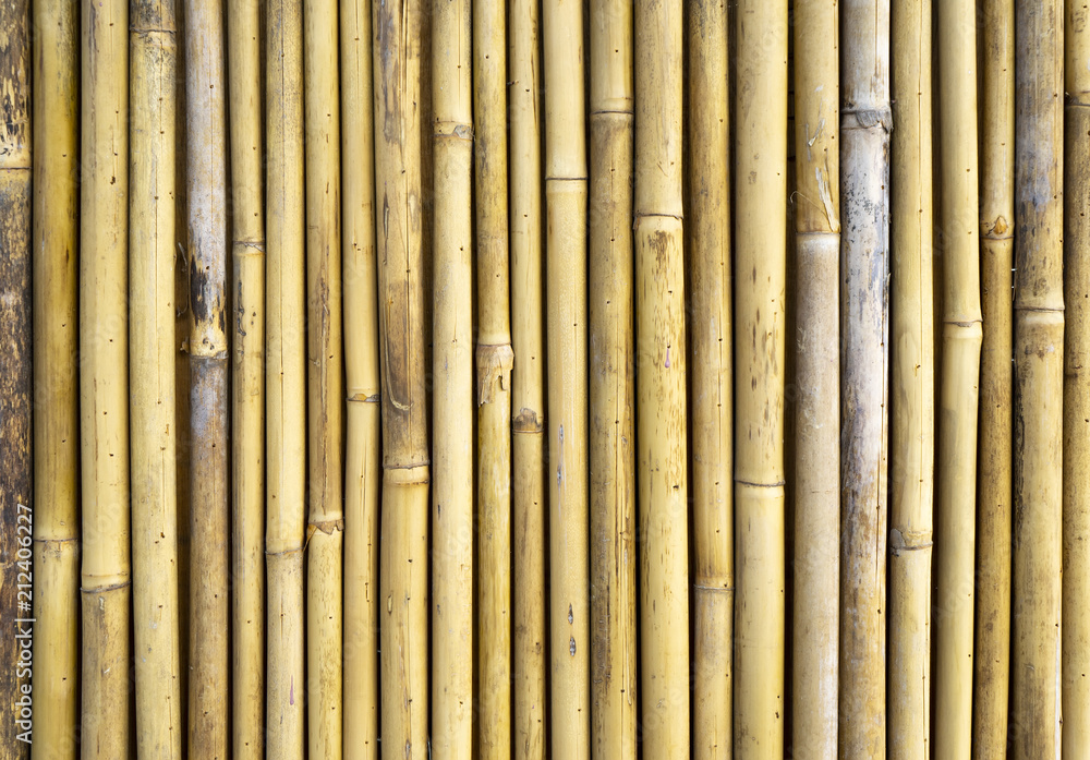 Fototapeta premium bamboo fence